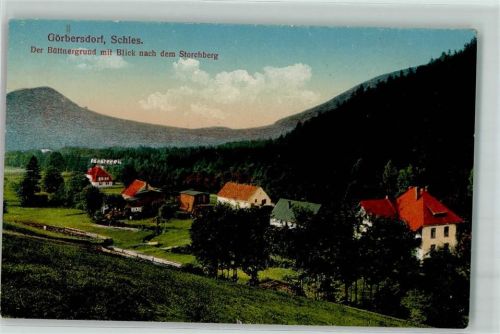 Görbersdorf i Schl Sokolomsko - der Büttnergrund mit Blick zum Storchberg