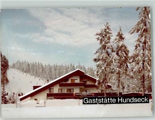 77815 W7580 Hundseck , Baden FOTO KEINE AK Gasthaus Winter Ort handschiftlich Foto Original aus Archiv eines Ansichtskartenverlages