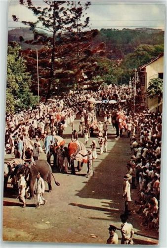 Kandy the Esala Perahera Elefanten
