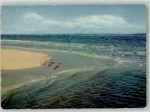 Föhr Seehundsbank
