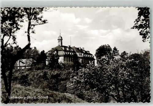 Liebenburg Schloss Liebenburg