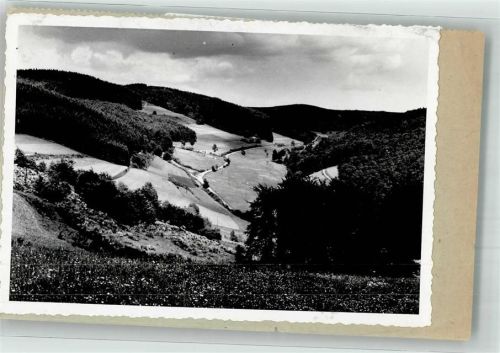 57319 W5920 Wunderthausen FOTO KEINE AK Bick zum Streitwald Ort handschriftlich Foto Original aus Archiv eines Ansichtskartenverlages