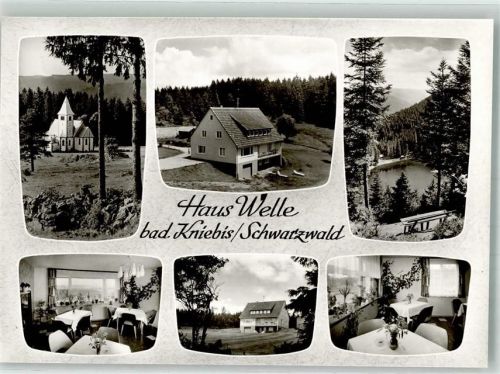Kniebis Pension Welle