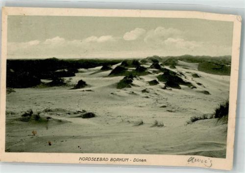 Borkum 1910 Dünenlandschaft Fotograf Louis Koch