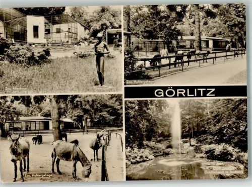 Görlitz Zoo Affenhaus Huftiergehege Goldfischteich Fotograf Heine VEB Bild und Heimat