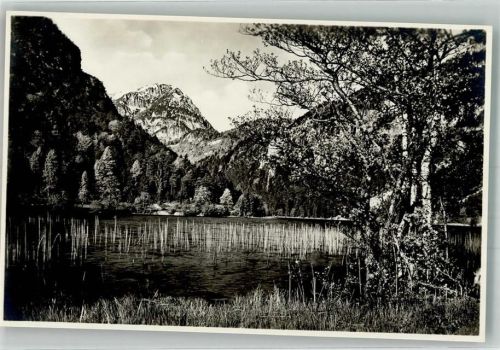Bad Reichenhall Thumsee mit dem Ristfeichthorn Verlag Karl Ermisch Nr. 437