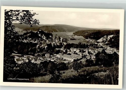 Pappenheim Panorama des Ortes mit Burg Pappenheim Galluskirche und Stadtkirche