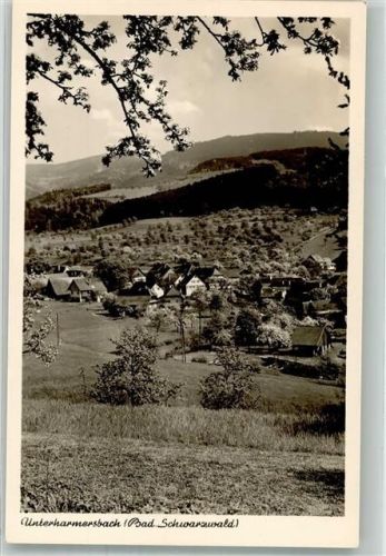 Unterharmersbach Panorama des Ortes Fotograf Müller Notopfermarke