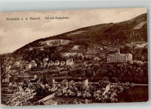 Neustadt 1920 Panorama des Ortes mit der Realschule Verlag Emil Hartmann