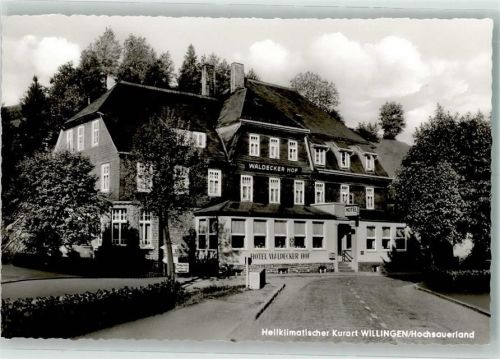 29614 W3040 Willingen Foto AK Hotel Waldecker Hof