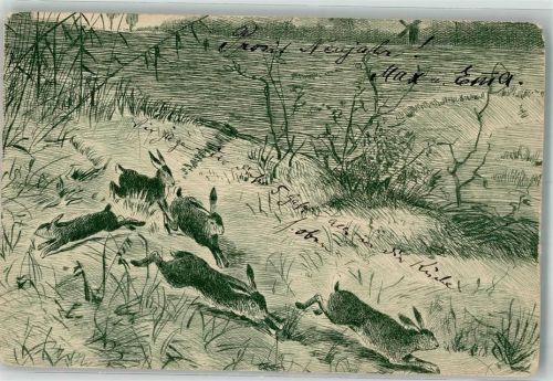 1904 Hasen auf wilder Flucht
