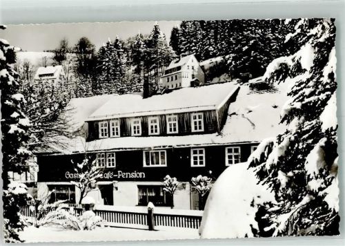 Willingen Winter Gasthaus Cafe Pension Sauerländer Hof