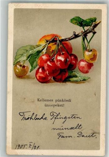 1906 Ein Zweig mit roten Kirschen