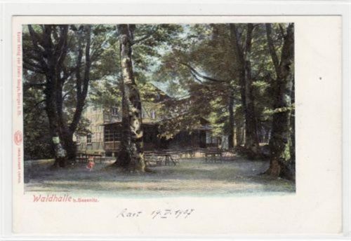 Sassnitz a. Rügen mit Waldhalle ungelaufen Top Erhaltung.