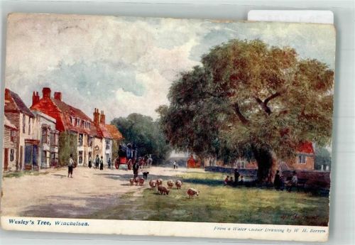 Bexhill-on-Sea 1907 Postkutsche Wesley´s Tree Winchelsea