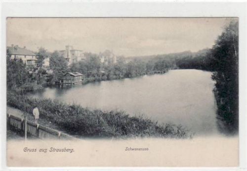 Gruß aus Strausberg. Abgebildet ist eine Partie am Schwanensee. Postalisch gelaufen 1907. Gute Erhaltung.