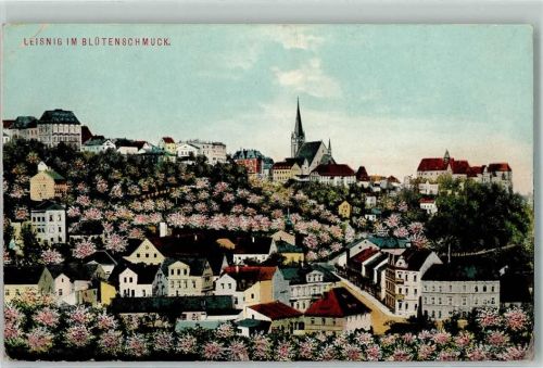 Leisnig 1910 Blütenschmuck Kirche