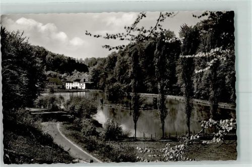 Leichlingen Hasensprung Weiher Baumblüte