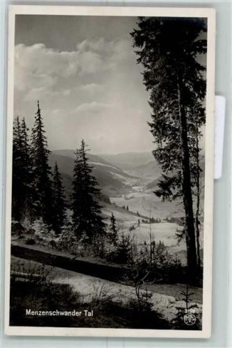 Menzenschwand Menzenschwander Tal