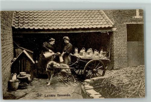 Latiere flamande AK Hundekarren 1917