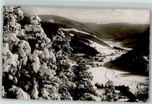 Menzenschwand Menzenschwander Tal Winter