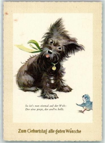 1964 Geburtstag Vogel "Der ein piept, der andere bellt "