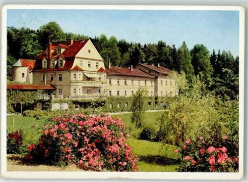 Wartenberg Sanatorium Wartenberg Garten Rosensträucher