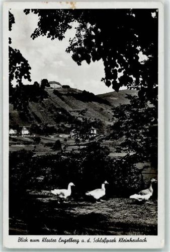 Kleinheubach Kloster Engelberg Schloßpark Enten
