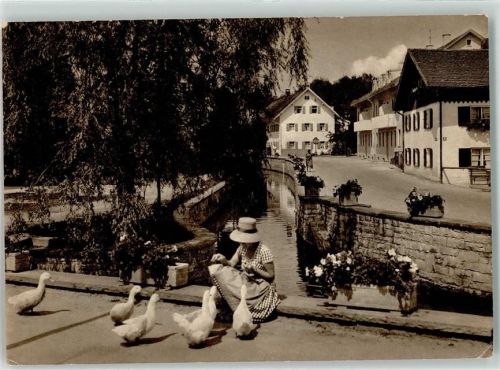 Bad Wörishofen Kneipp Kur und Heilbad am Mühlbach Gänse