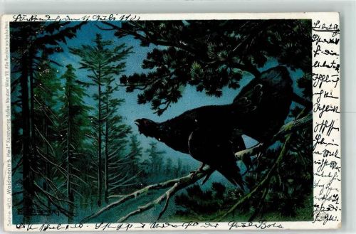 1901 Auerhahn Weidmanns Heil Rafael Neuber Serie 48-3