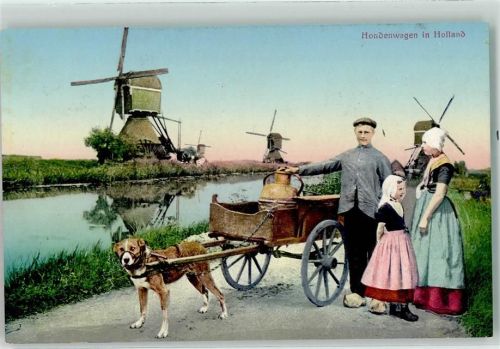 Windmühle Hollandkinder Hundekarren