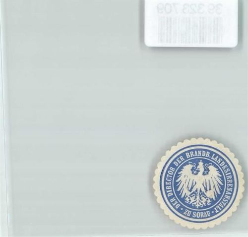 Sorau Irrenanstalt der Director d. Brandenb. Landesirrenanstalt zu Sorau