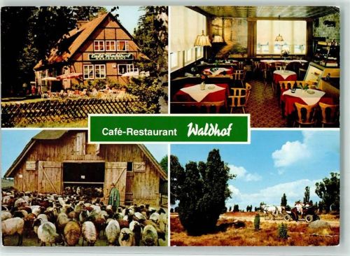 Niederhaverbeck Cafe Restaurant Waldhof Gasthaus Gastraum Kutsche Schafe Hirte Scheune