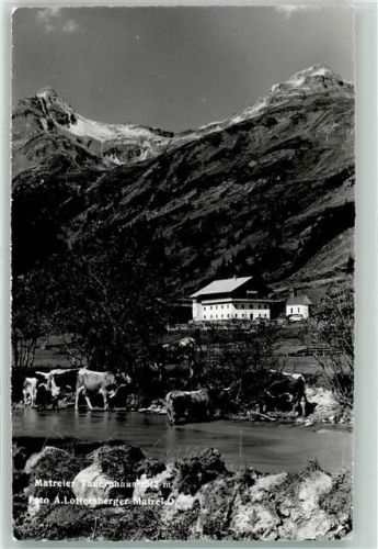 Matrei Matreier Tauernhaus Kühe