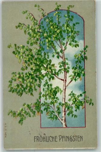 1910 Baum Passepartout M.S.i.B. Nr.14204