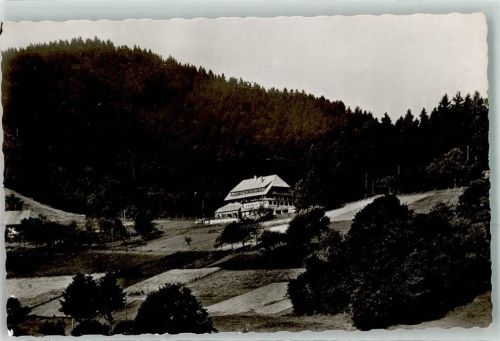 Neuenweg Gasthaus Haldenhof