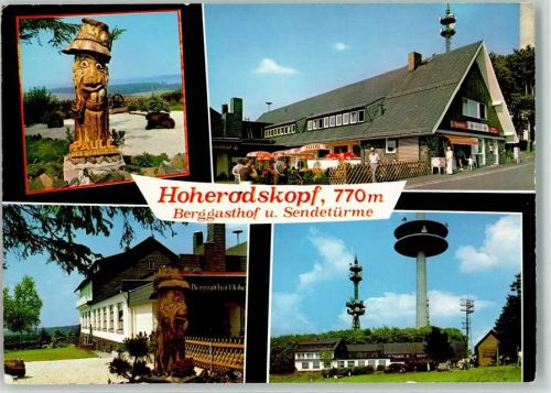 Schotten Gasthaus Hoherodskopf Sendetürme Holzskulptur
