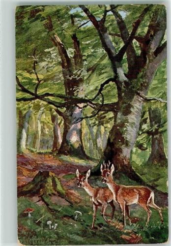 Rehe sign.Spitgerber HSM Im Wald Serie II