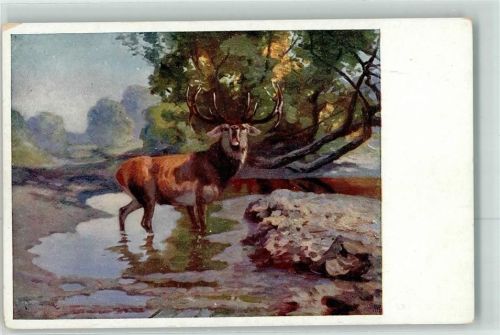 HirschB.K.W.I. Nr.667-3