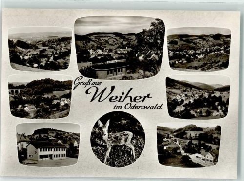 Weiher Rehkitz