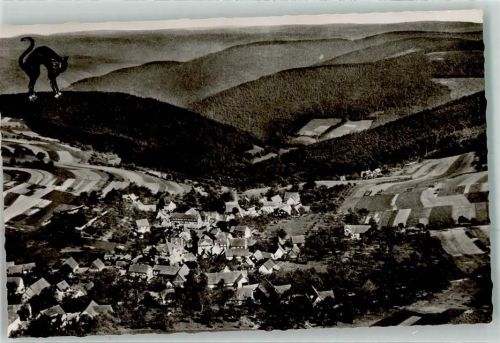 Waldkatzenbach Fliegeraufnahme Ortskern Katze