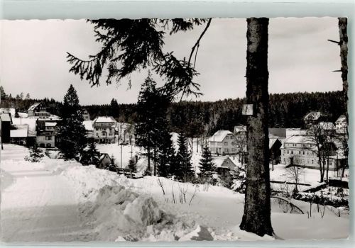 Kniebis im Winter