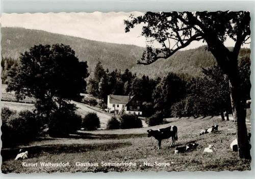 Waltersdorf Gasthaus Neu-Sorge Weide Kühe Lämmer