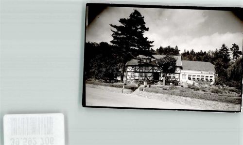 Laubach Grundmühle Hotel Foto Original aus Archiv eines Ansichtskartenverlags Ort handschriftlich