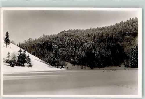 Neuenweg Winter Nonnenmattweiher