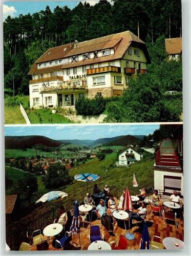 Baiersbronn Hotel Pension Talblick