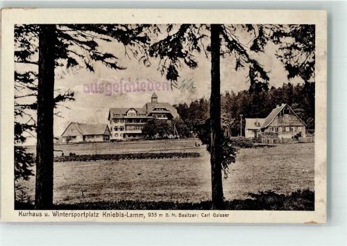 Kniebis Kurhaus Kniebis - Lamm