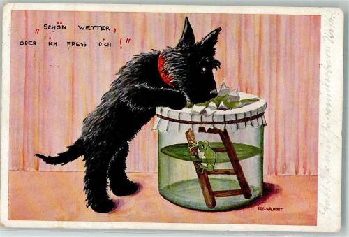 1938 sign. von Walmont Schwarzer Hund erpresst Wetterfrosch im Einmachglas Verlag Emil Köhn 1389