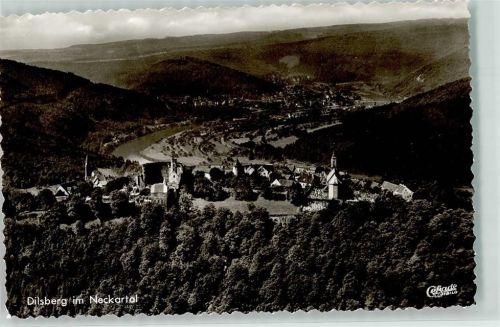 Dilsberg Fliegeraufnahme
