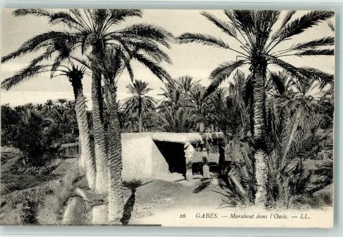 Gabès Oase